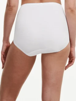 Femilet Debbie Debbie Full Brief -