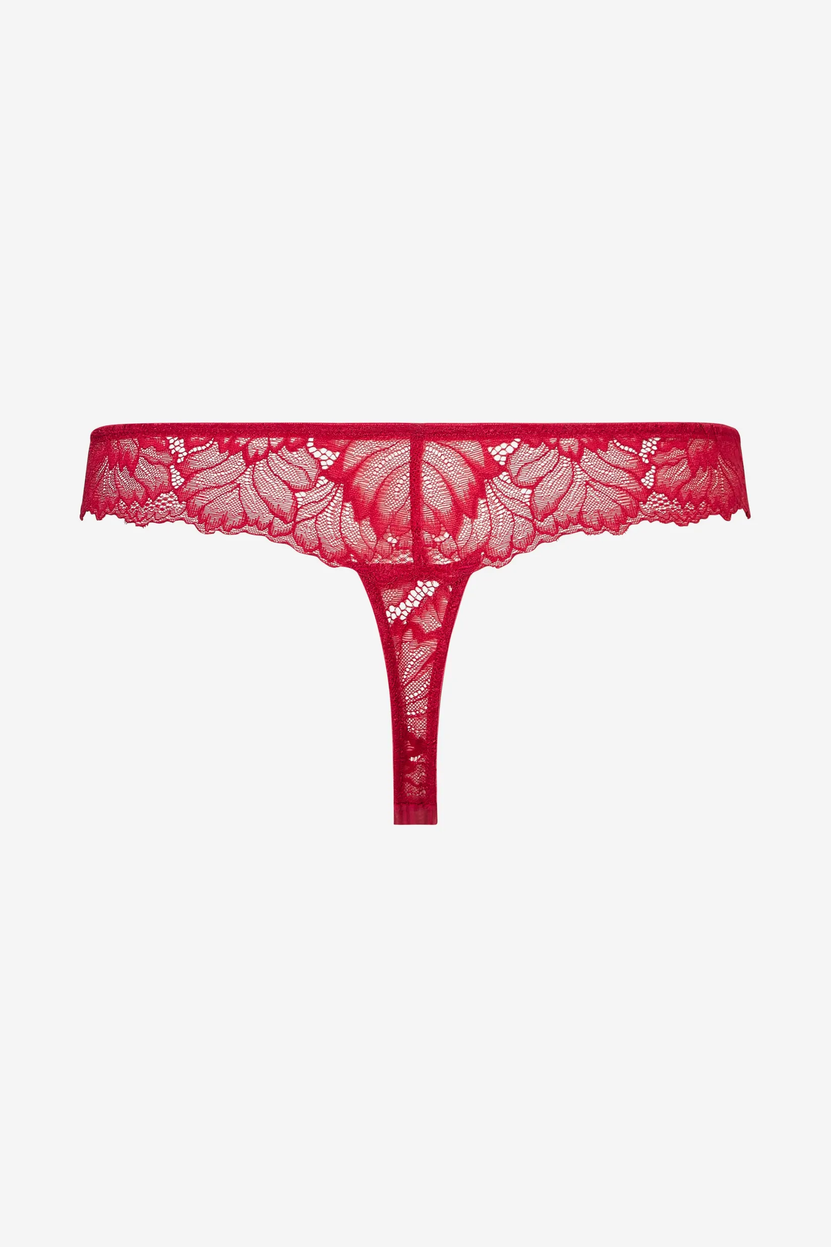 Livera Stripe Lace String - Scarlet Smile